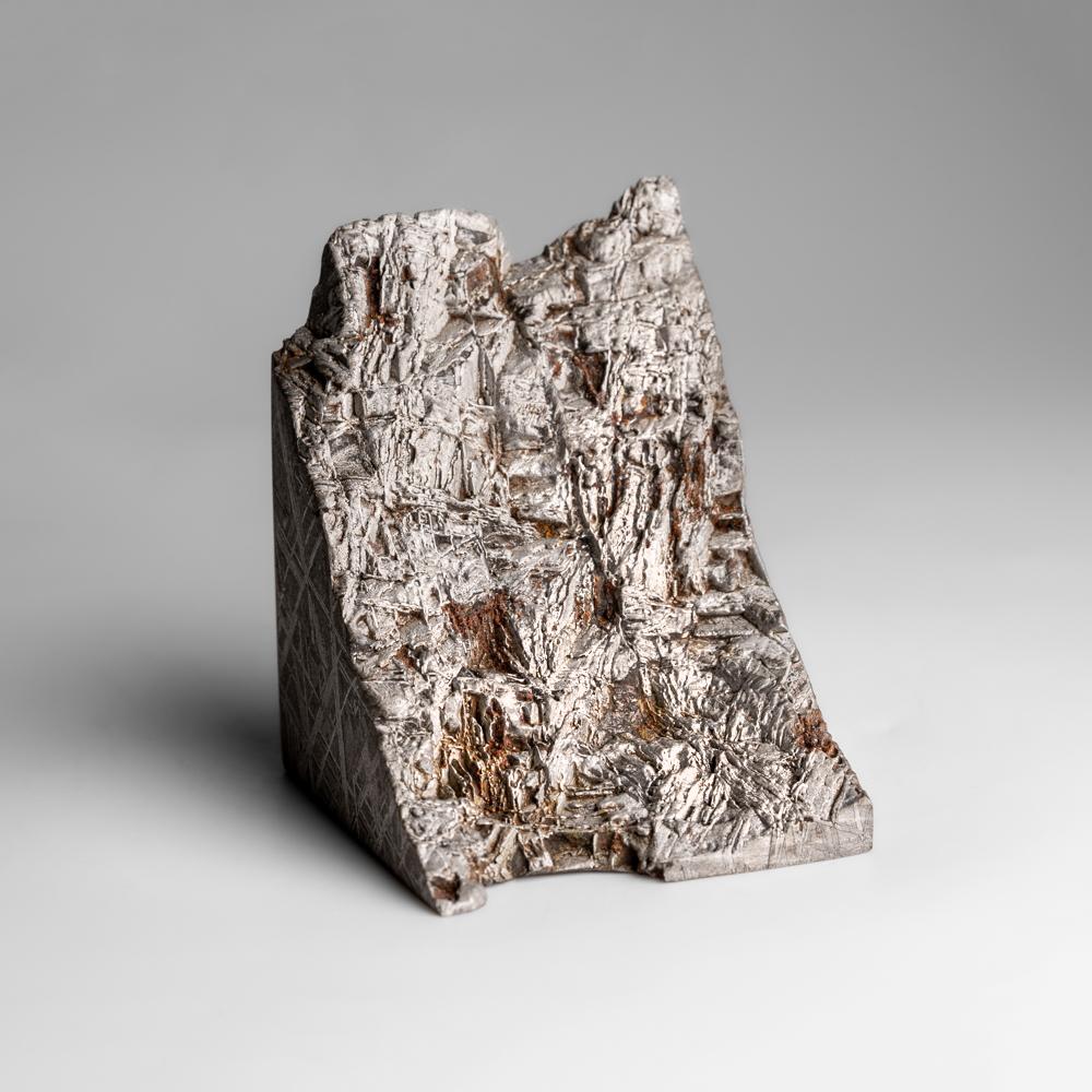 Muonionalusta Meteorit-Slice (453.6 Gramm) im Zustand „Neu“ im Angebot in New York, NY