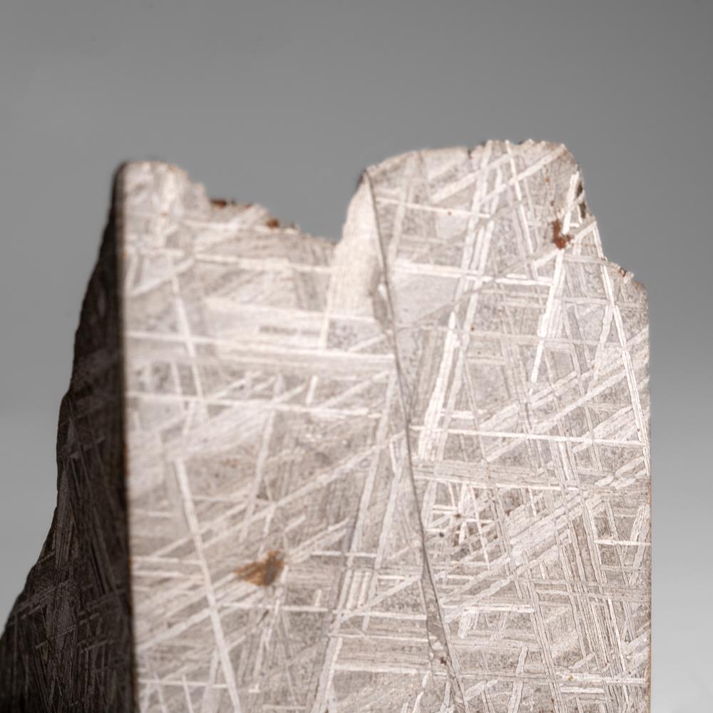 Muonionalusta Meteorit-Slice (453.6 Gramm) im Angebot 1