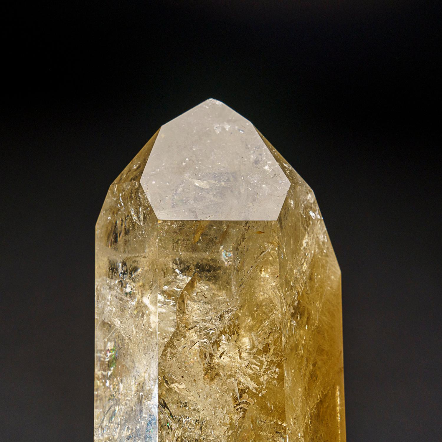 Grand cristal de quartz citrine transparent avec inclusions de rutile, de qualité muséale. Cette pointe de classe mondiale est extrêmement grande, avec un lustre de premier ordre et une excellente couleur naturelle jaune fumé, à l'intérieur ce
