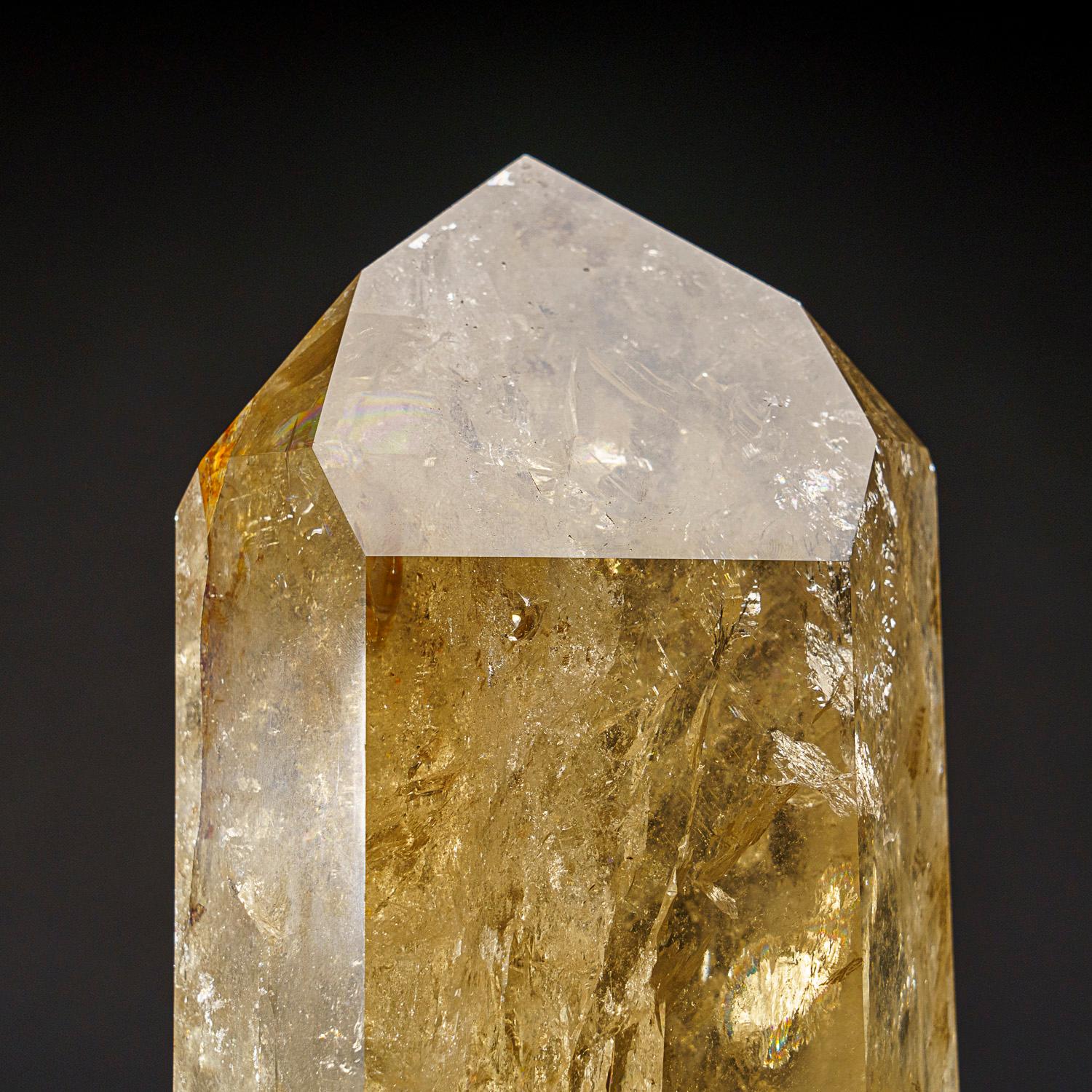 Großer Kristall in Museumsqualität aus transparentem Citrin-Quarz mit Rutil-Einschlüssen. Diese Weltklasse-Spitze ist extrem groß, mit Top-Glanz und exzellenter natürlicher rauchgelber Farbe, im Inneren ist dieser Kristall makellos.

Der Citrin kann