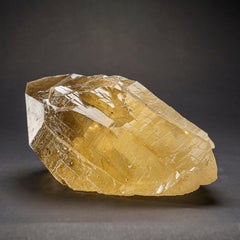 Genuine Museum Quality Citrine Crystal Point from Brazil (7 lbs)