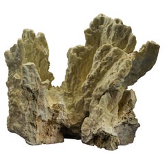 Genuine Natural Green Fire Coral (11.5" 13.8 lbs)