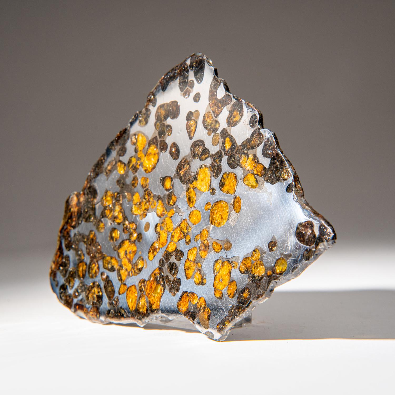 Brenham is a pallasite meteorite found near Haviland, a small town in Kiowa County, Kansas, United States. Pallasites are a type of stony–iron meteorite that when cut and polished show yellowish olivine crystals. The Brenham meteorite is associated