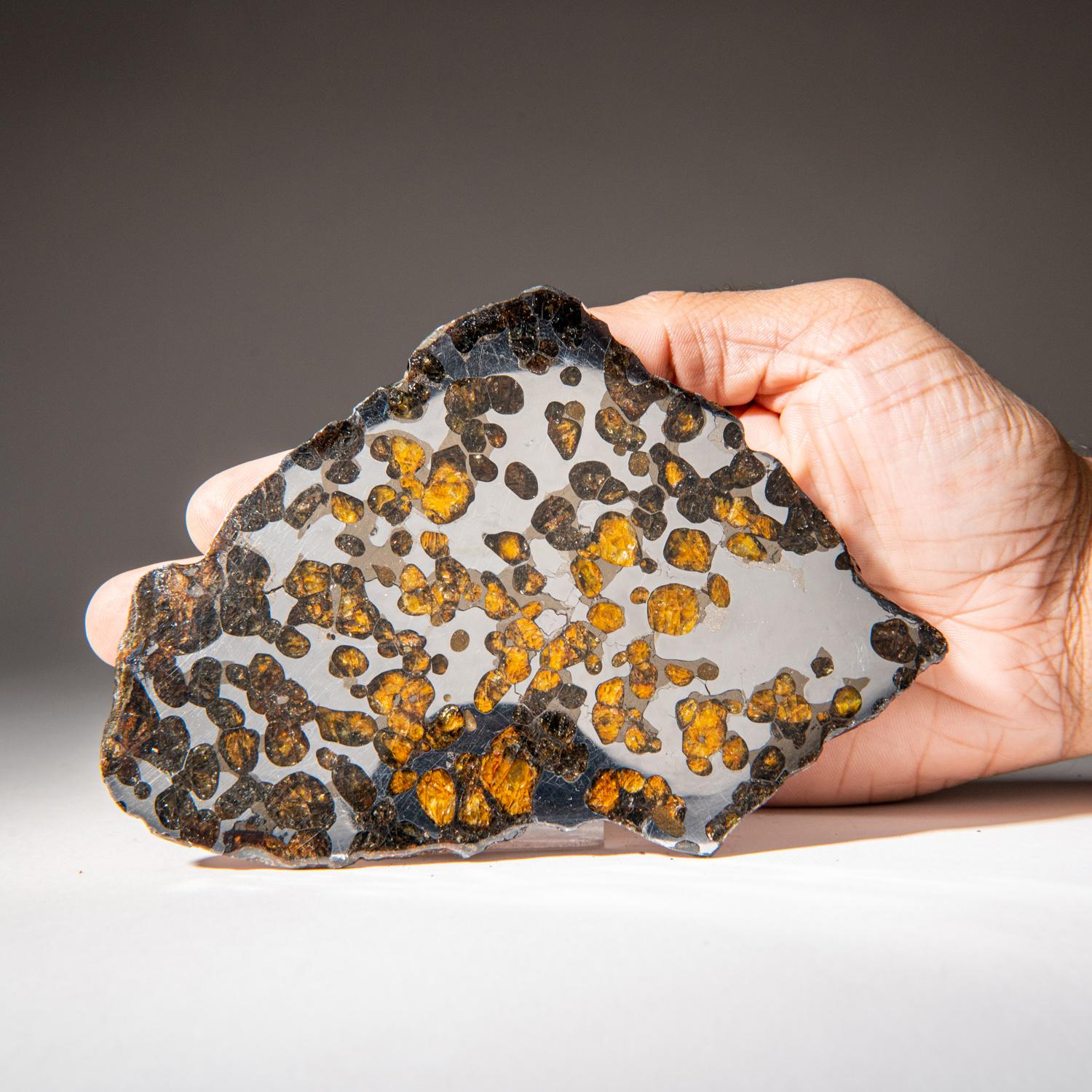 American Genuine Natural Seymchan Pallasite Meteorite Slab (129.3 grams)