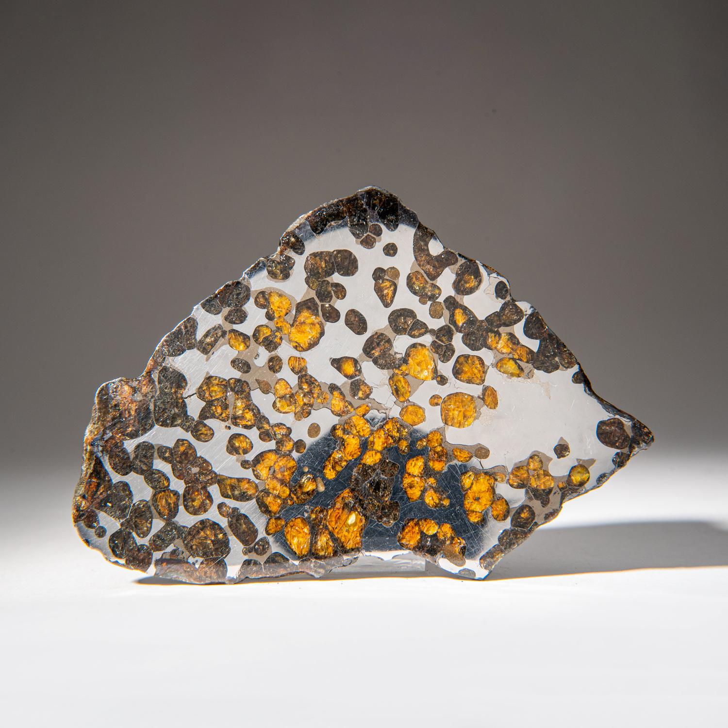 Genuine Natural Seymchan Pallasite Meteorite Slab (129.3 grams) In Excellent Condition In New York, NY