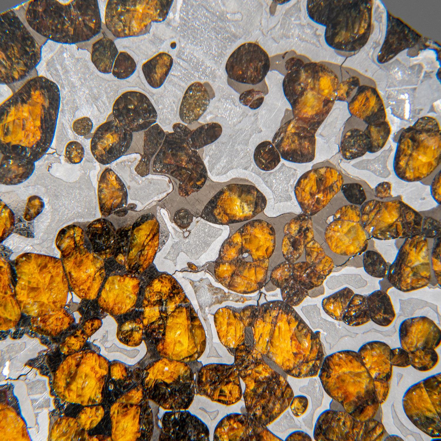 18th Century and Earlier Genuine Natural Seymchan Pallasite Meteorite Slab (129.3 grams)