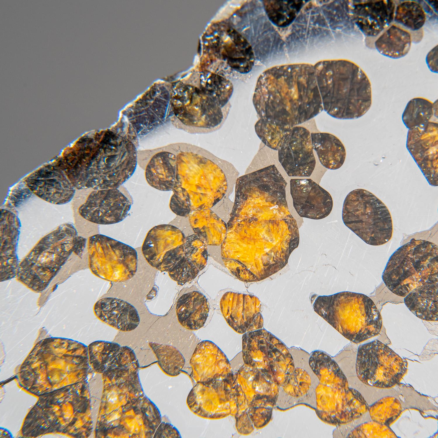 Other Genuine Natural Seymchan Pallasite Meteorite Slab (129.3 grams)