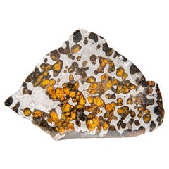Genuine Natural Seymchan Pallasite Meteorite Slab (129.3 grams)