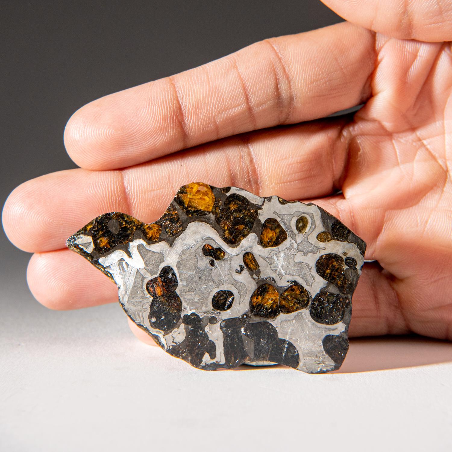American Genuine Natural Seymchan Pallasite Meteorite Slab (20 grams)