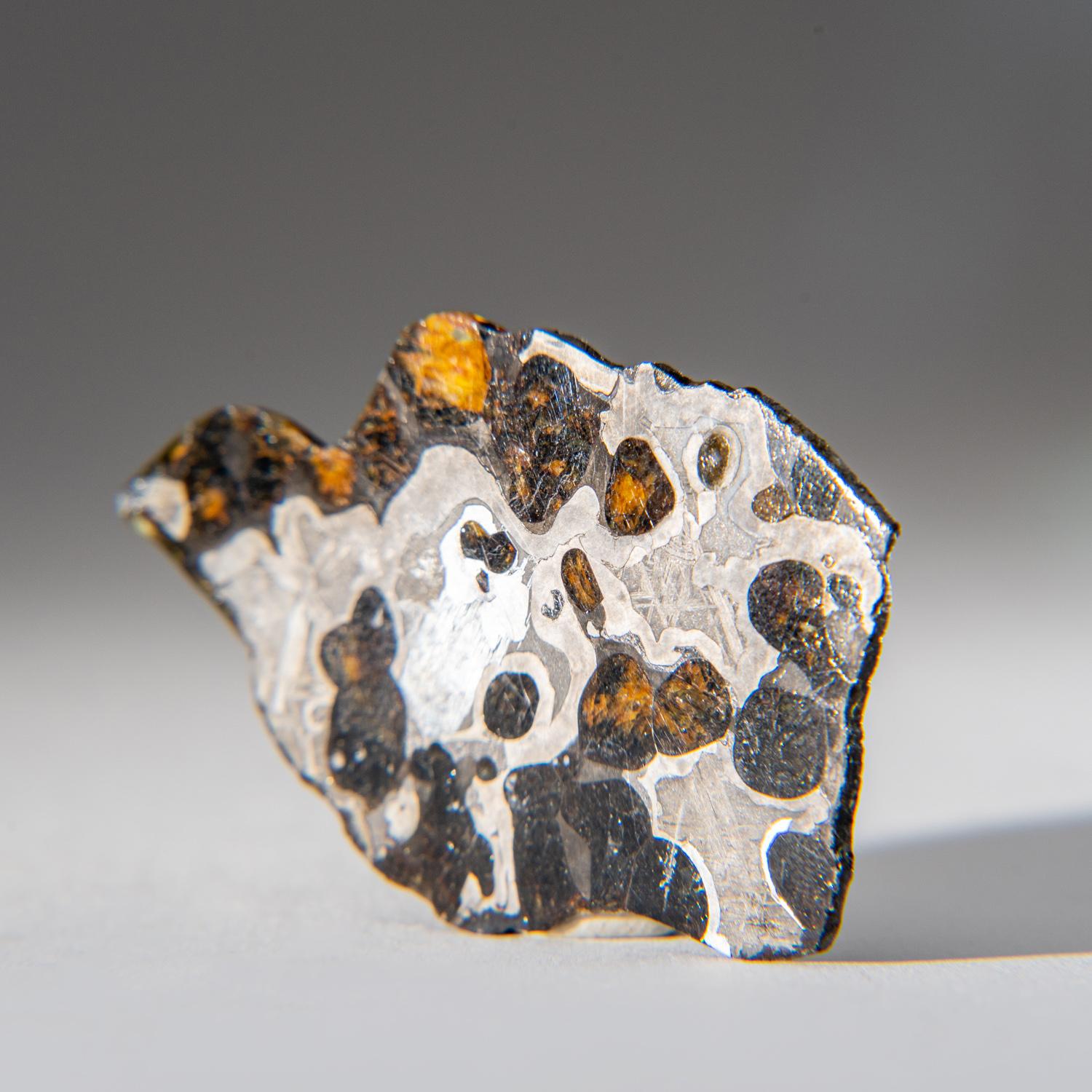 Genuine Natural Seymchan Pallasite Meteorite Slab (20 grams) In Excellent Condition In New York, NY