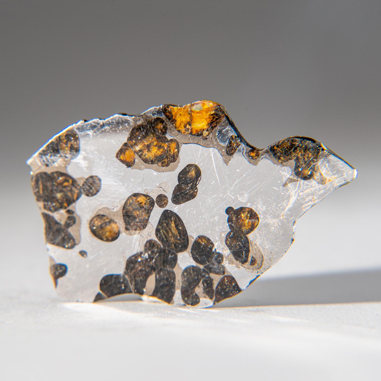 18th Century and Earlier Genuine Natural Seymchan Pallasite Meteorite Slab (20 grams)