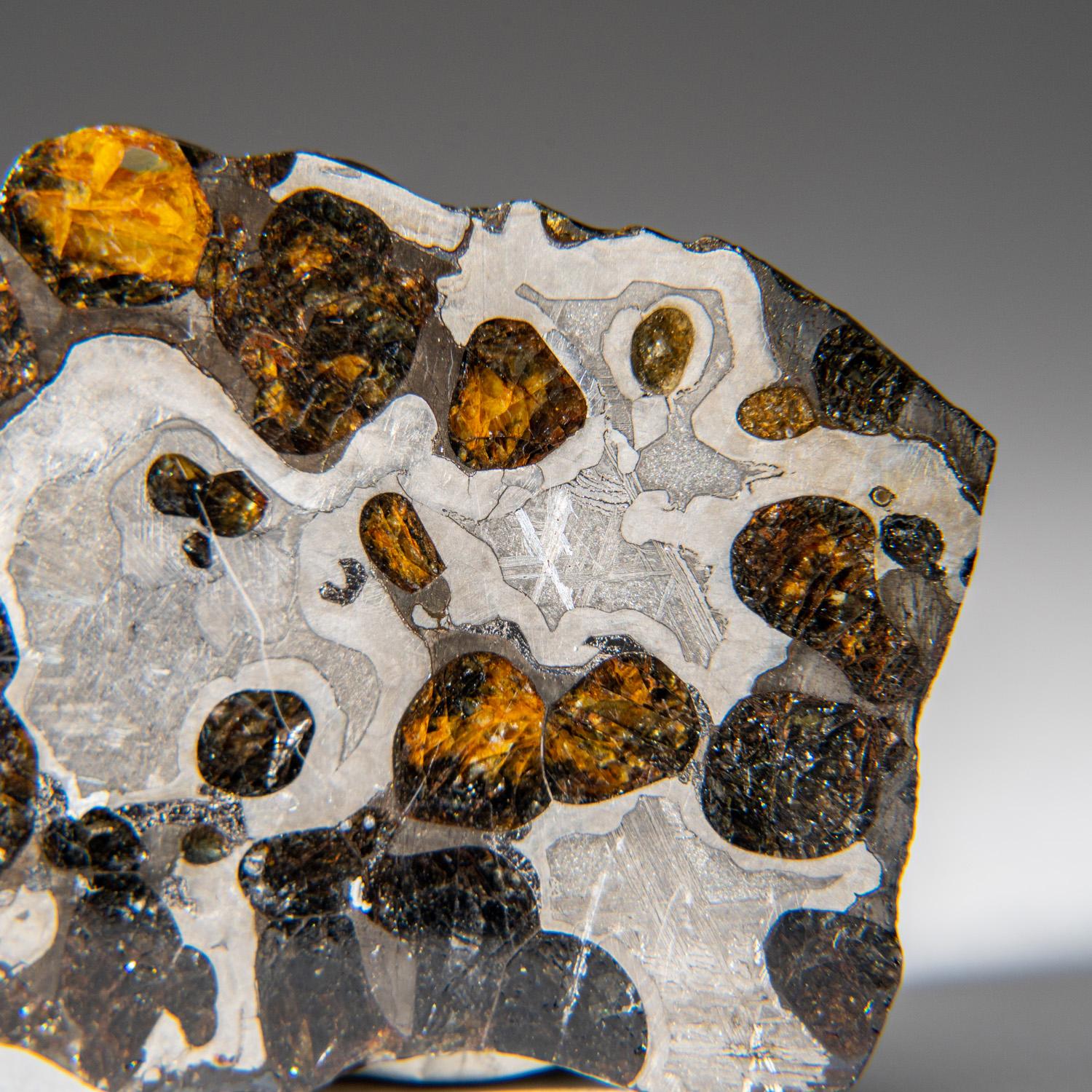 Other Genuine Natural Seymchan Pallasite Meteorite Slab (20 grams)
