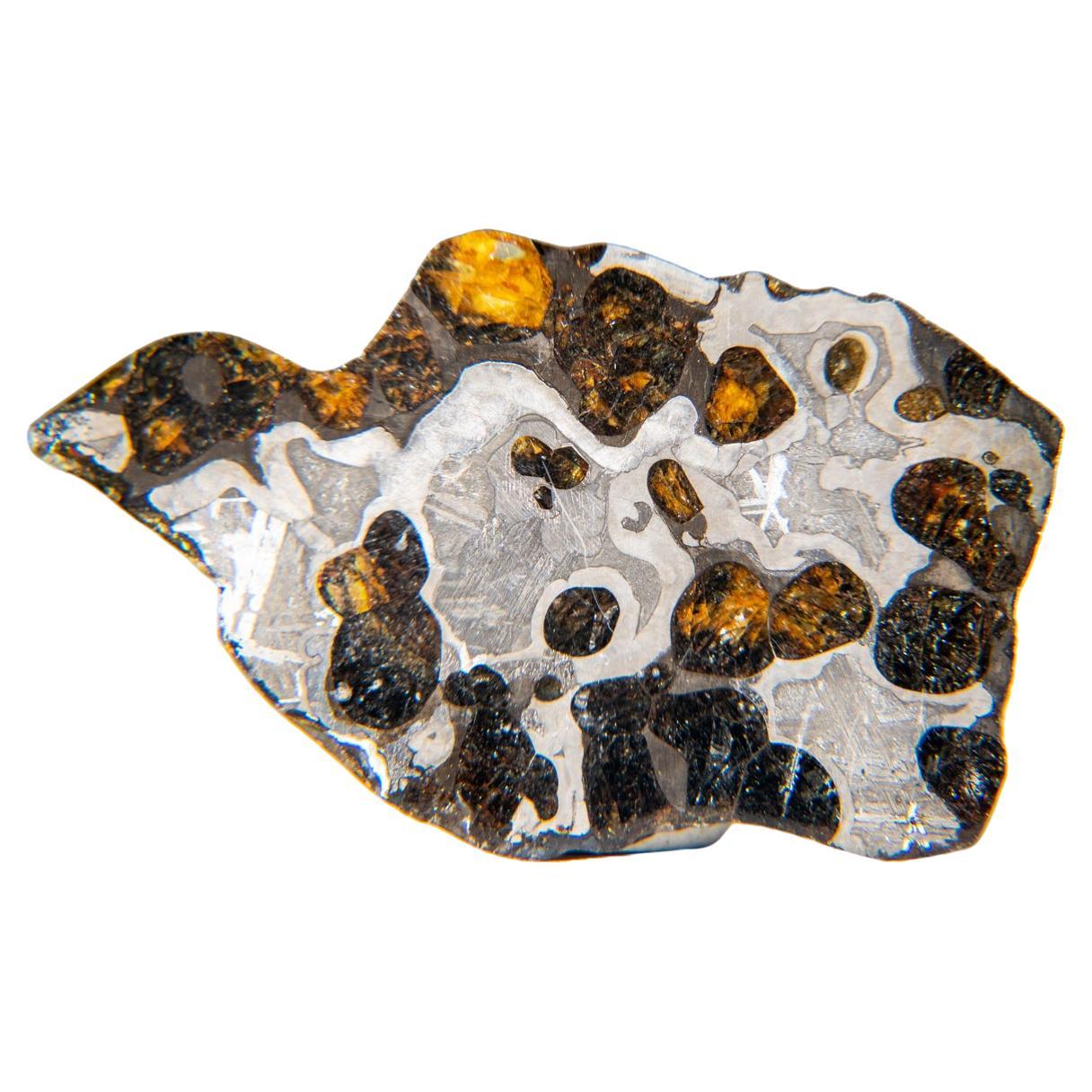 Genuine Natural Seymchan Pallasite Meteorite Slab (20 grams)