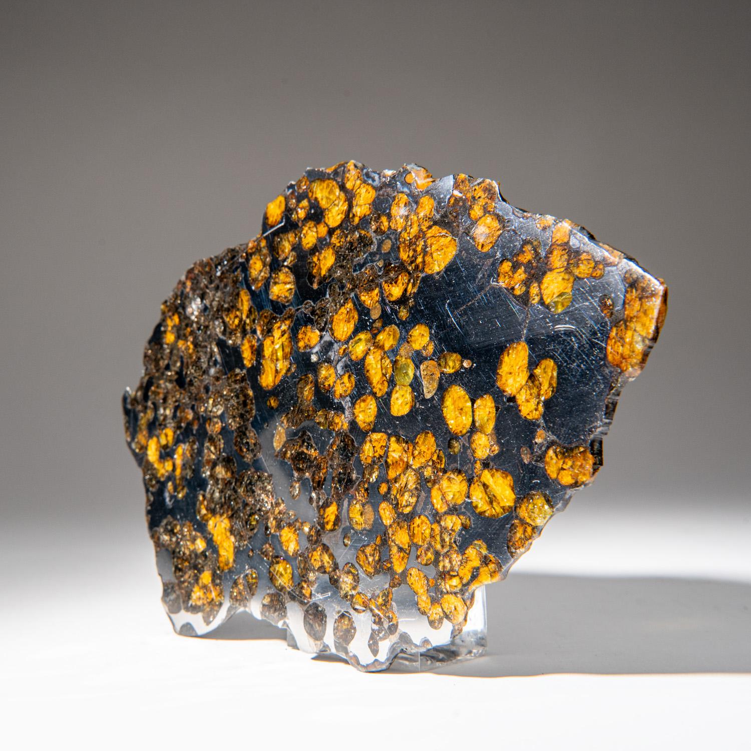 Brenham ist ein Pallasit-Meteorit, der in der Nähe von Haviland, einer Kleinstadt im Kiowa County, Kansas, Vereinigte Staaten, gefunden wurde. Pallasite sind eine Art von Stein-Eisen-Meteoriten, die beim Schneiden und Polieren gelbliche
