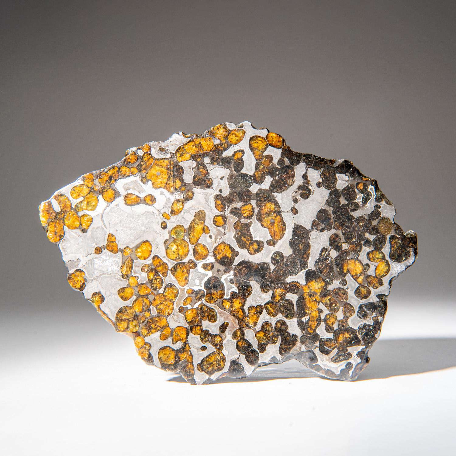 Natürlicher Seymchan Pallasite Meteorit-Labor (211.7 Gramm) im Zustand „Hervorragend“ im Angebot in New York, NY