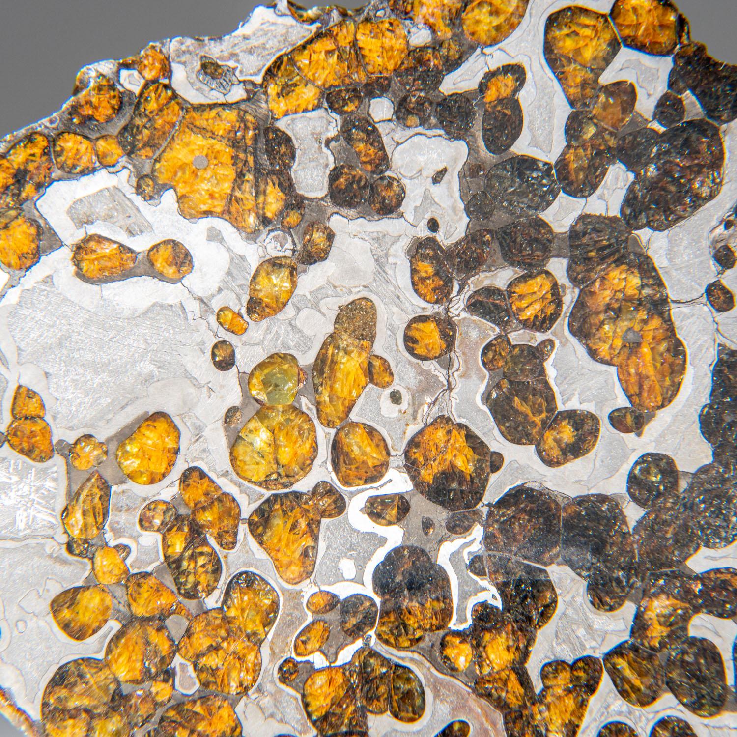 Natürlicher Seymchan Pallasite Meteorit-Labor (211.7 Gramm) (18. Jahrhundert und früher) im Angebot