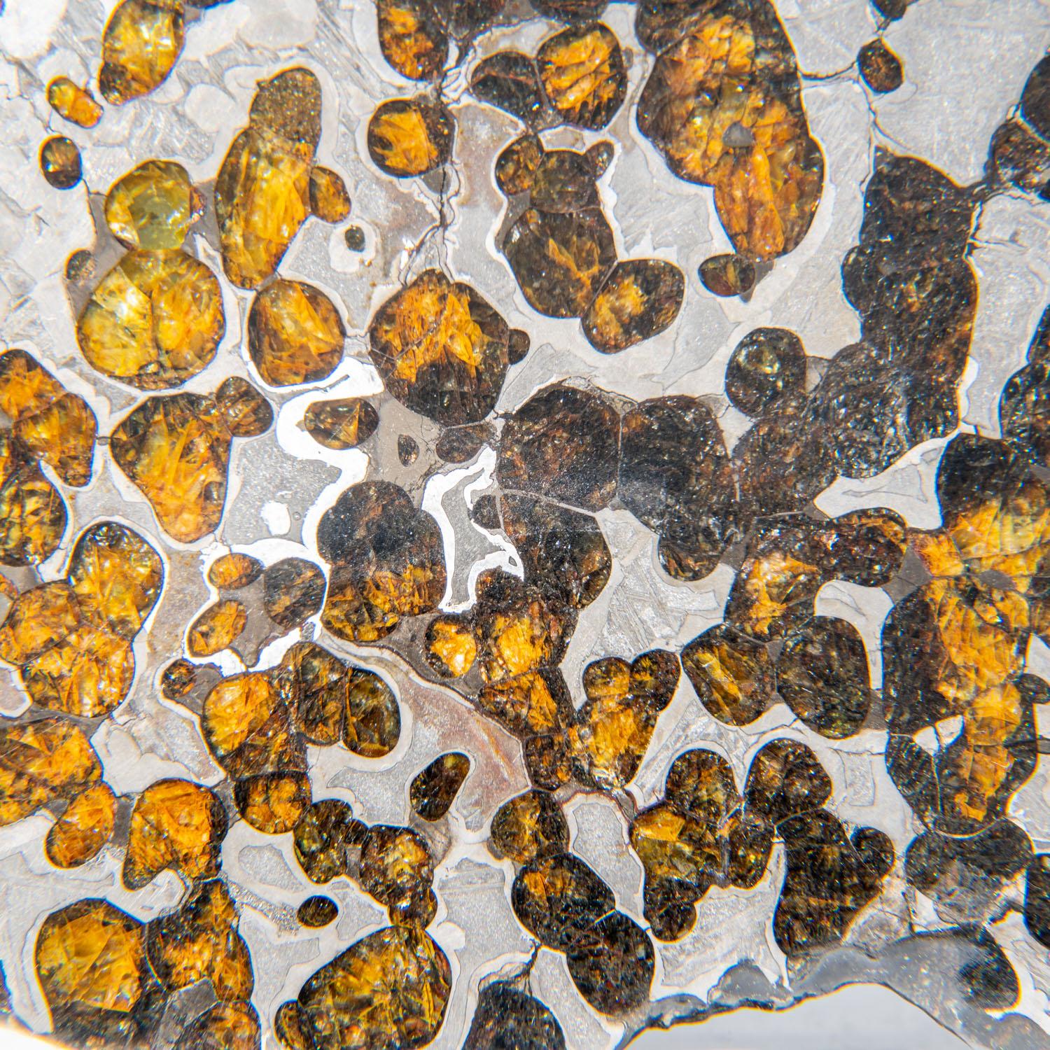 American Genuine Natural Seymchan Pallasite Meteorite Slab (211.7 grams) For Sale