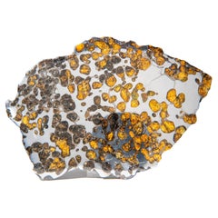 Genuine Natural Seymchan Pallasite Meteorite Slab (211.7 grams)