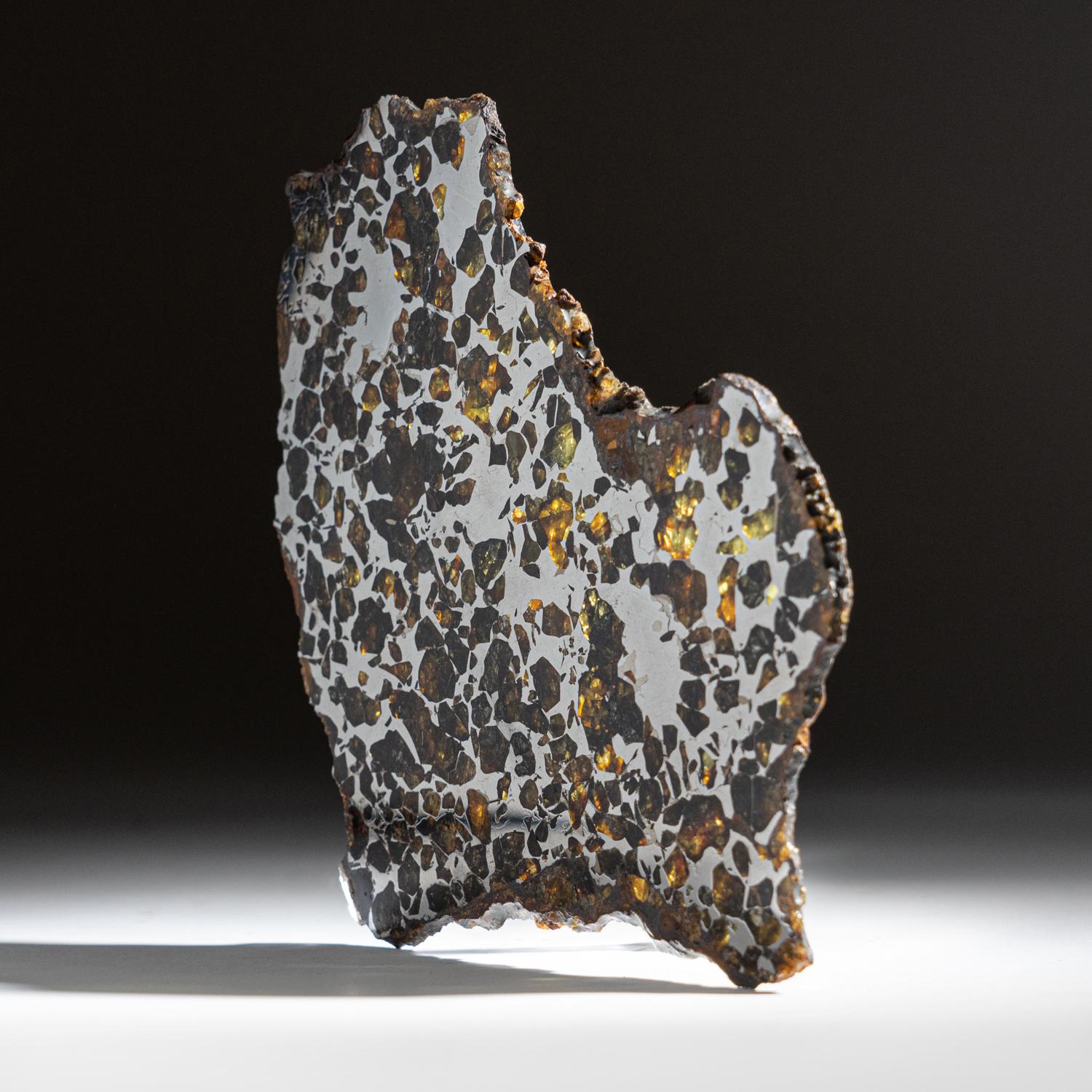 Russian Genuine Natural Seymchan Pallasite Meteorite Slab