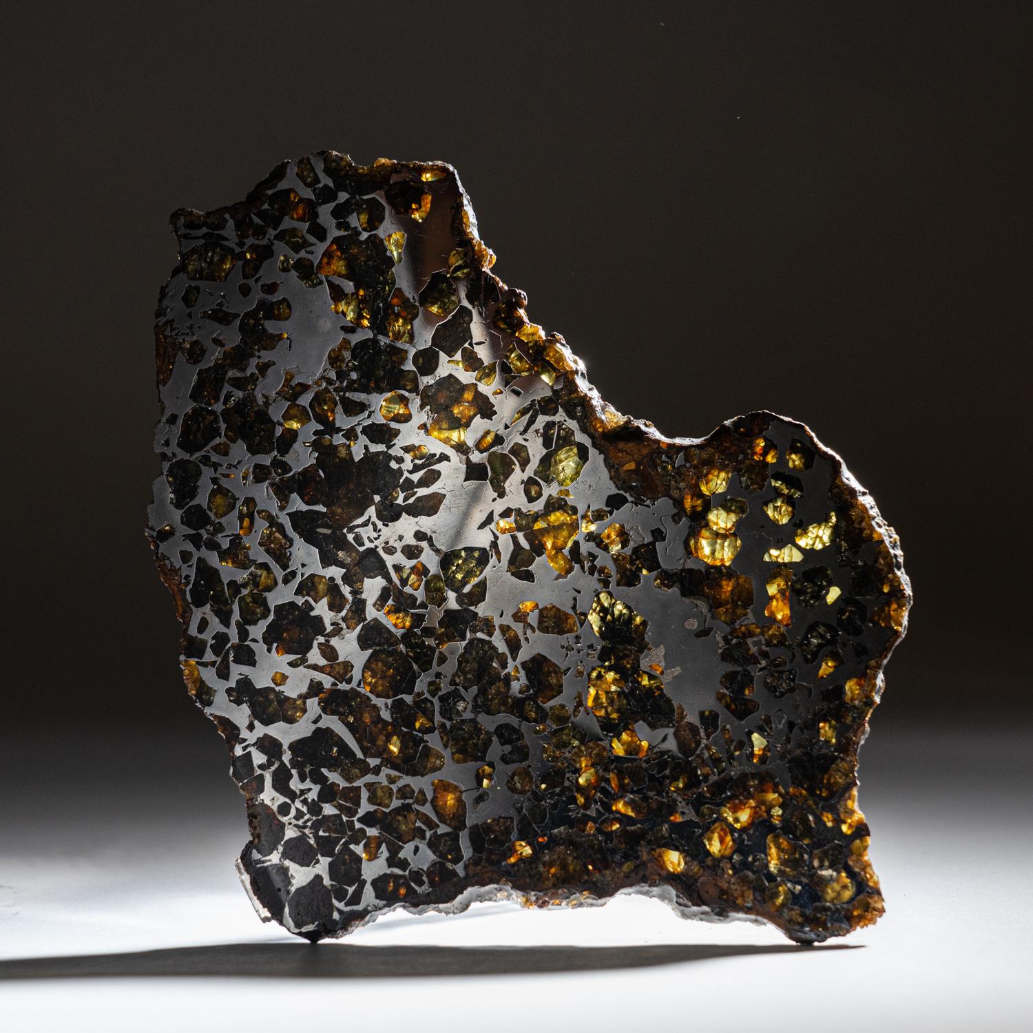 Genuine Natural Seymchan Pallasite Meteorite Slab In Excellent Condition In New York, NY