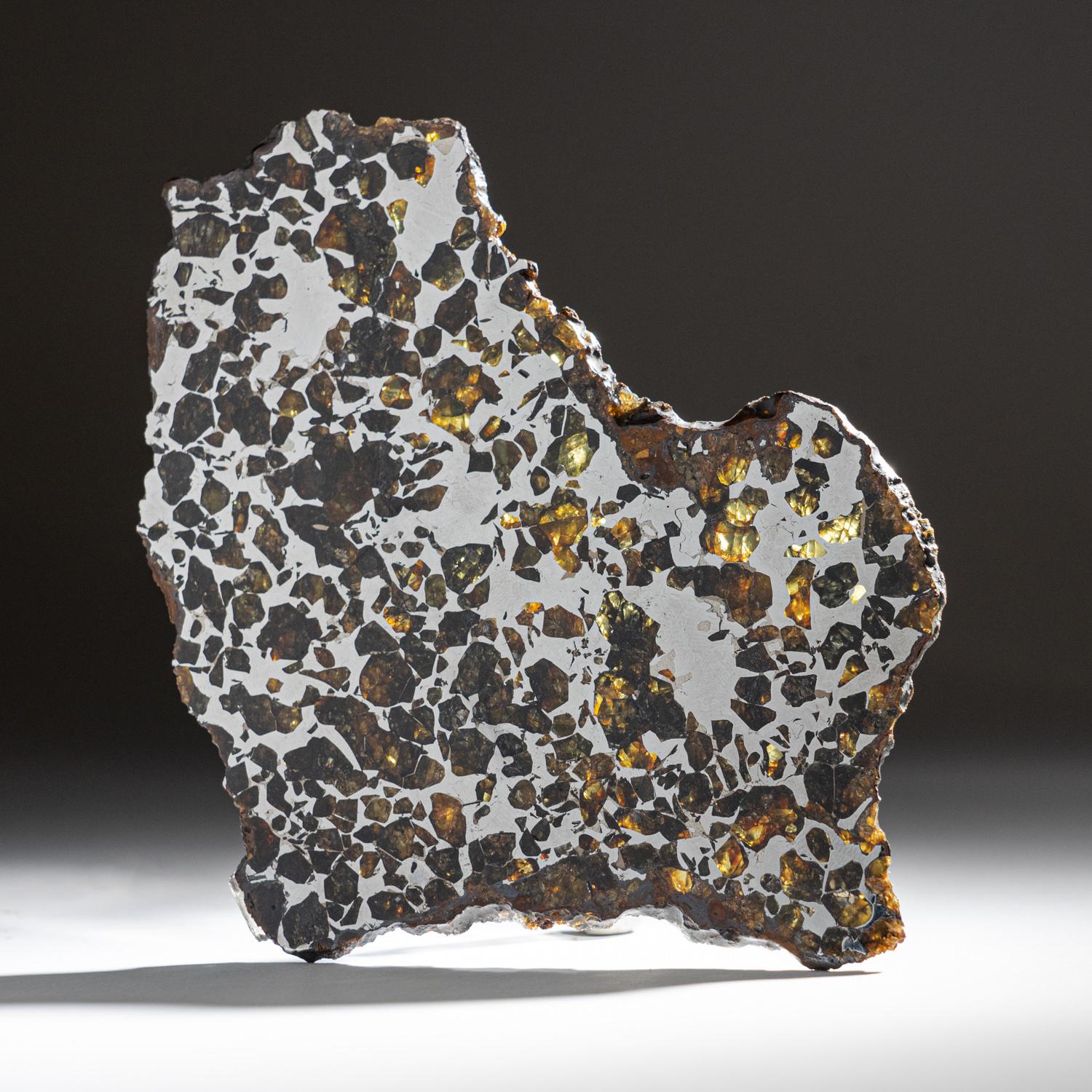 Other Genuine Natural Seymchan Pallasite Meteorite Slab