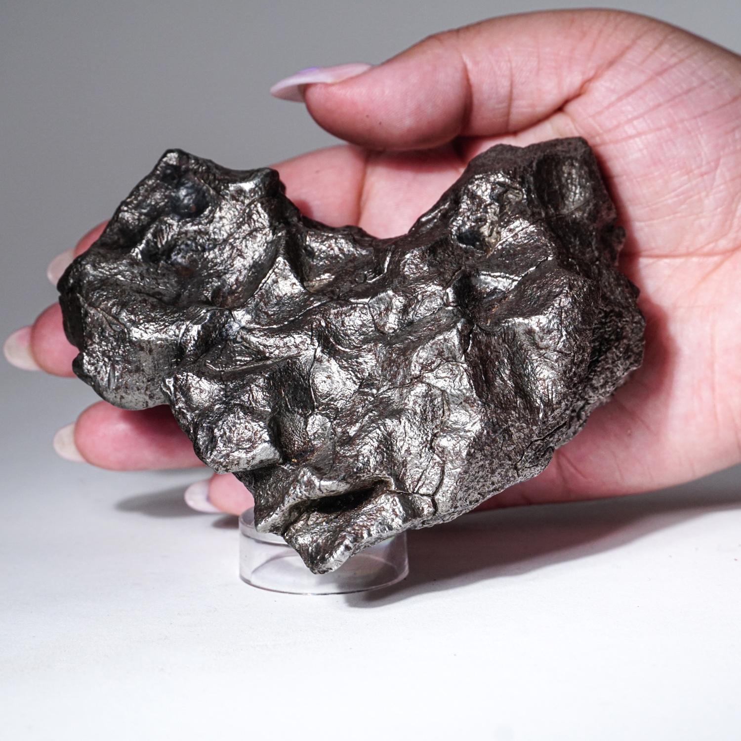 Genueuse météorite naturelle de Sikhote-Alin de Russie Excellent état à New York, NY