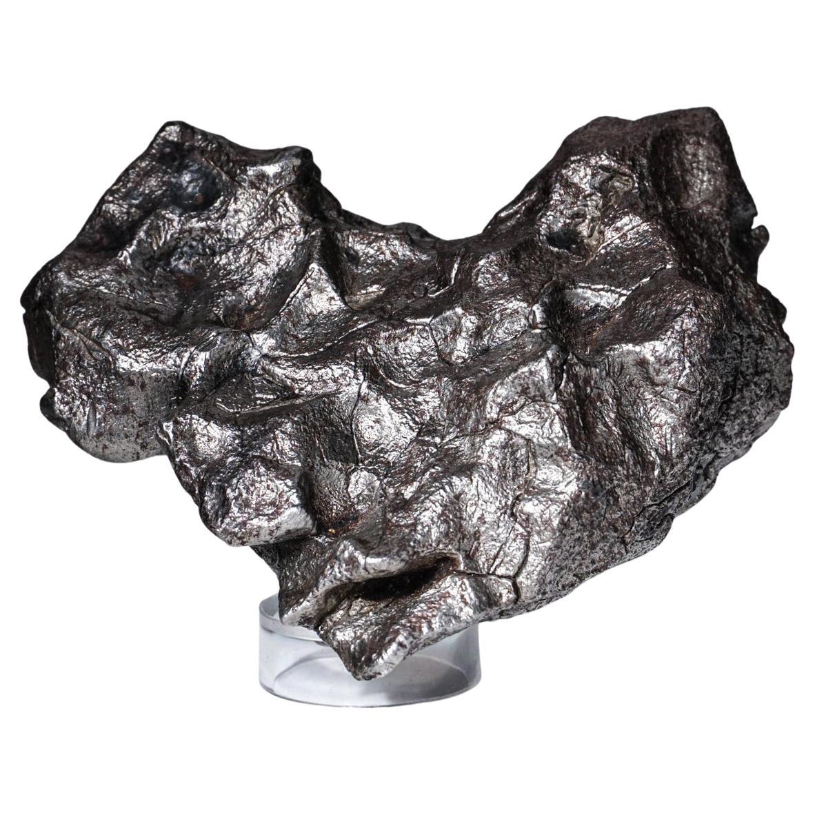 Genueuse météorite naturelle de Sikhote-Alin de Russie