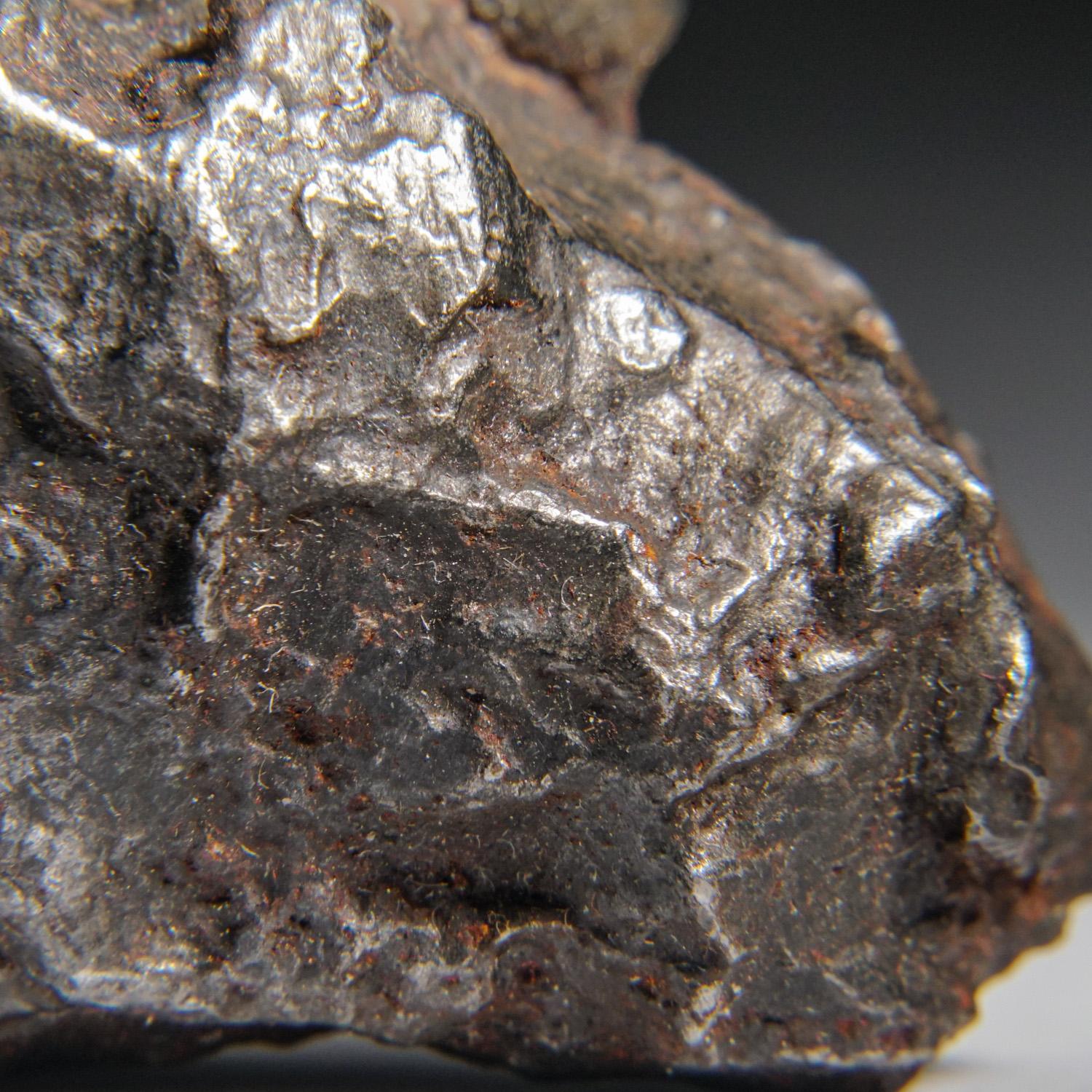 XXIe siècle et contemporain Genueuse météorite naturelle de Sikhote-Alin de Russie (105.5 grammes) en vente
