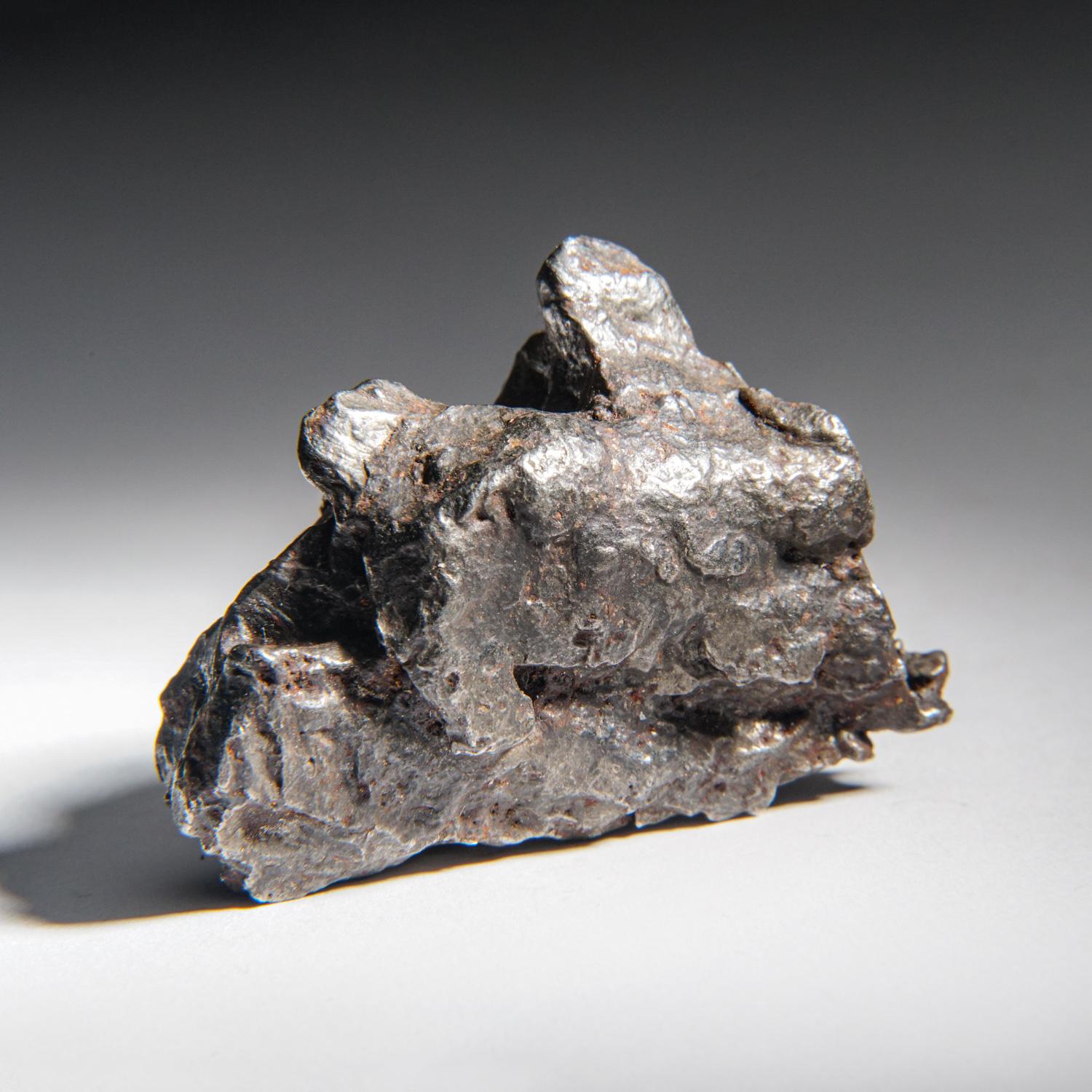 Autre Genueuse météorite naturelle de Sikhote-Alin de Russie (105.5 grammes) en vente