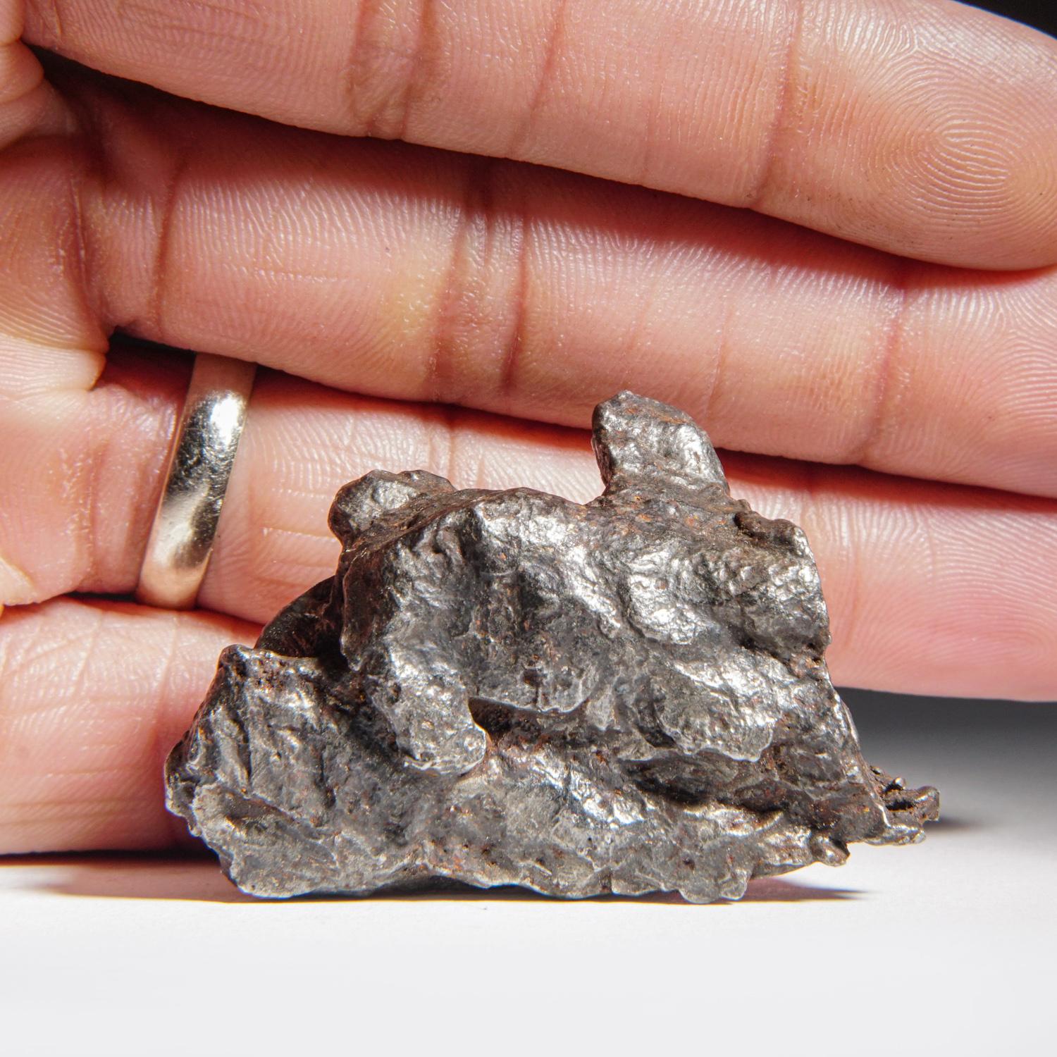 Genueuse météorite naturelle de Sikhote-Alin de Russie (105.5 grammes) en vente 1