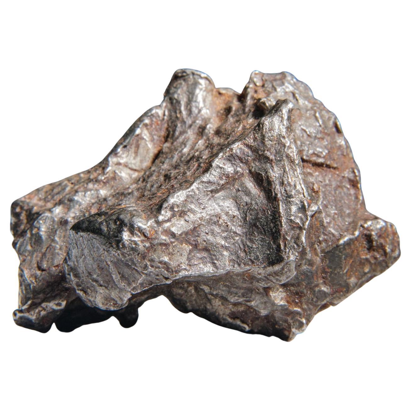 Genueuse météorite naturelle de Sikhote-Alin de Russie (107 grammes)