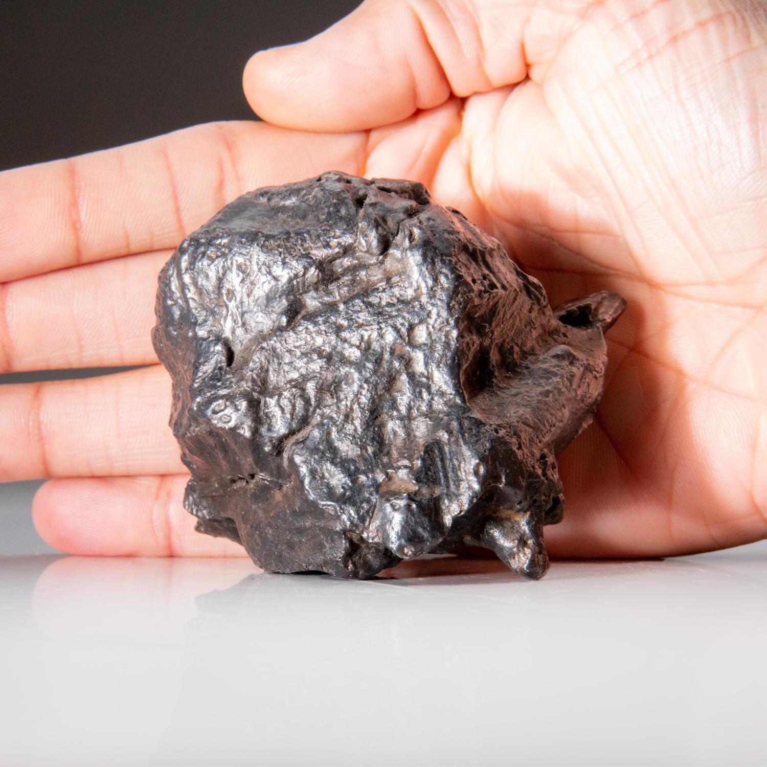 Echter natürlicher Sikhote-Alin Meteorit aus Russland (1.4 lbs) (Russisch)