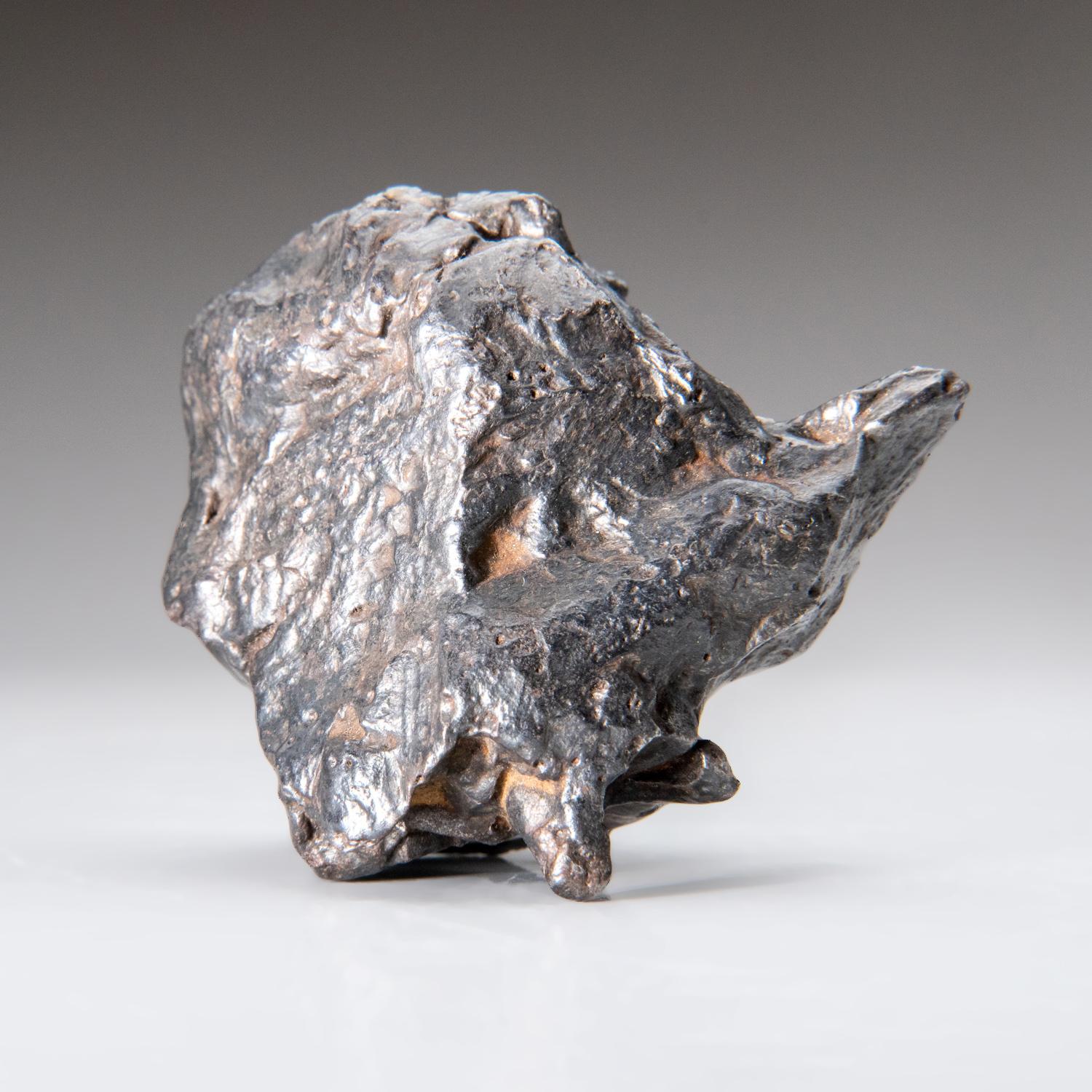 Echter natürlicher Sikhote-Alin Meteorit aus Russland (1.4 lbs) im Zustand „Neu“ in New York, NY