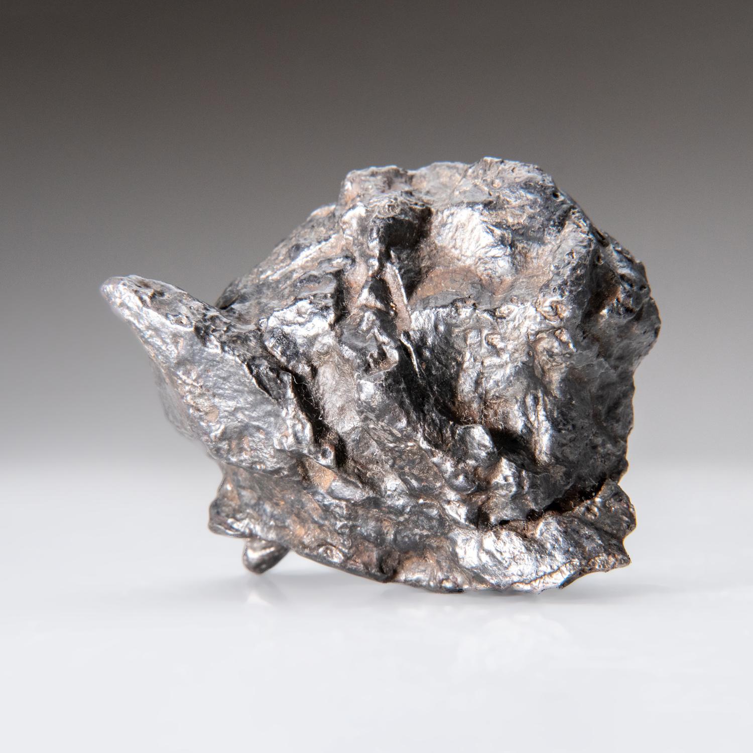 Echter natürlicher Sikhote-Alin Meteorit aus Russland (1.4 lbs) (21. Jahrhundert und zeitgenössisch)