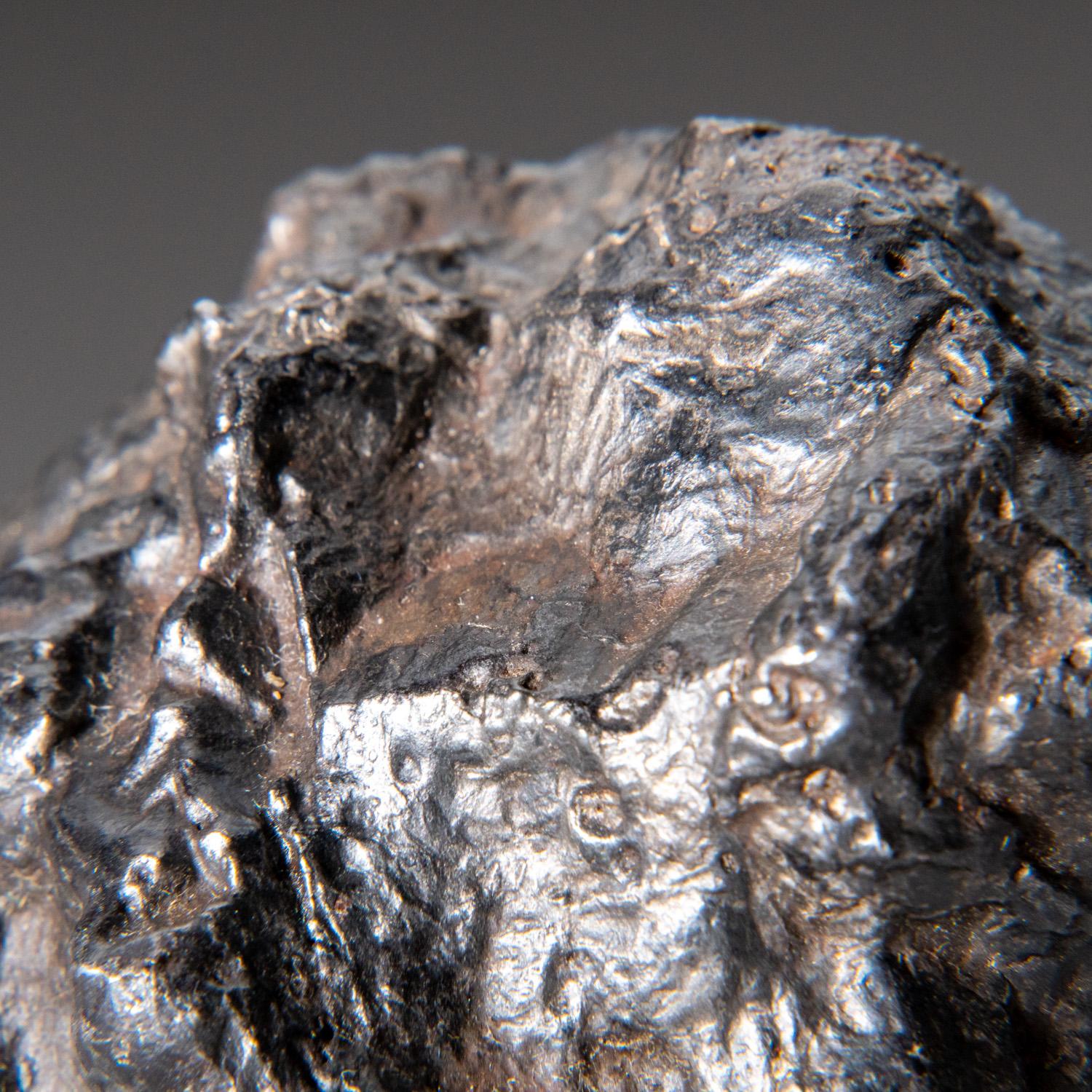 Echter natürlicher Sikhote-Alin Meteorit aus Russland (1.4 lbs) (Eisen)