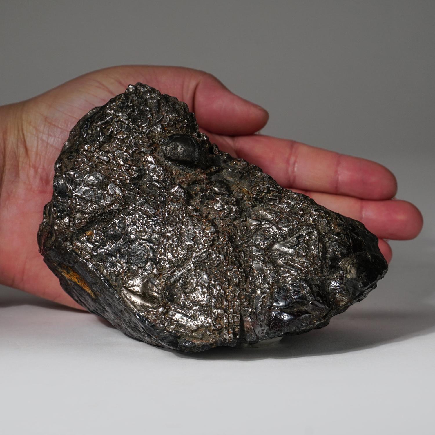 An iron meteorite fell on the Sikhote-Alin Mountains, in southeastern Russia, in 1947. Though large iron meteorite falls had been witnessed previously and fragments recovered, never before in recorded history had a fall of this magnitude been