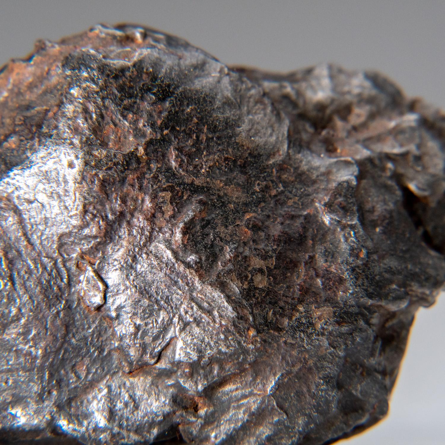 Une météorite de fer est tombée sur les montagnes Sikhote-Alin, dans le sud-est de la Russie, en 1947. Bien que des chutes de météorites de fer de grande taille aient déjà été observées et que des fragments aient été récupérés, jamais une chute