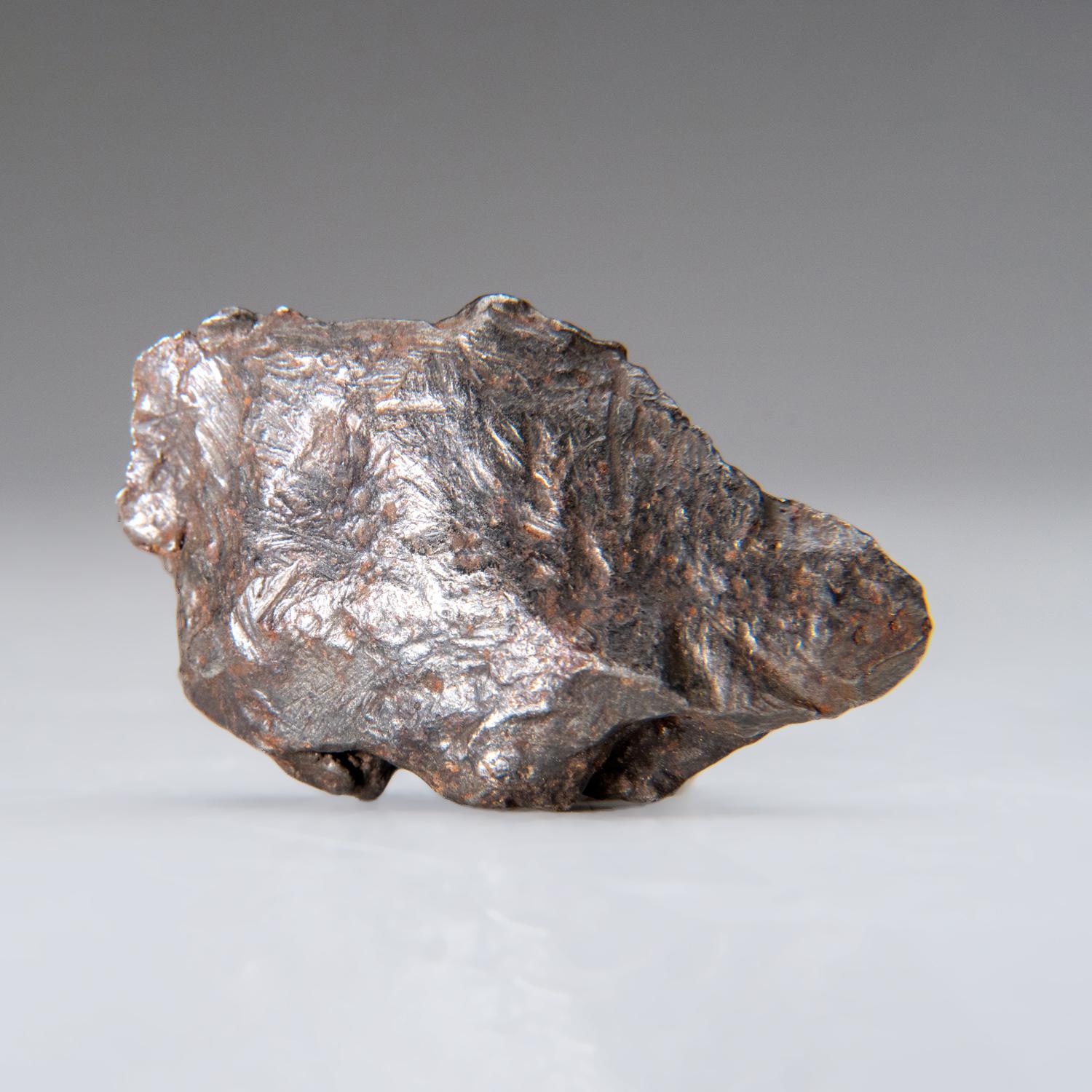 Russe Genueuse météorite naturelle de Sikhote-Alin de Russie (76.5 grammes) en vente