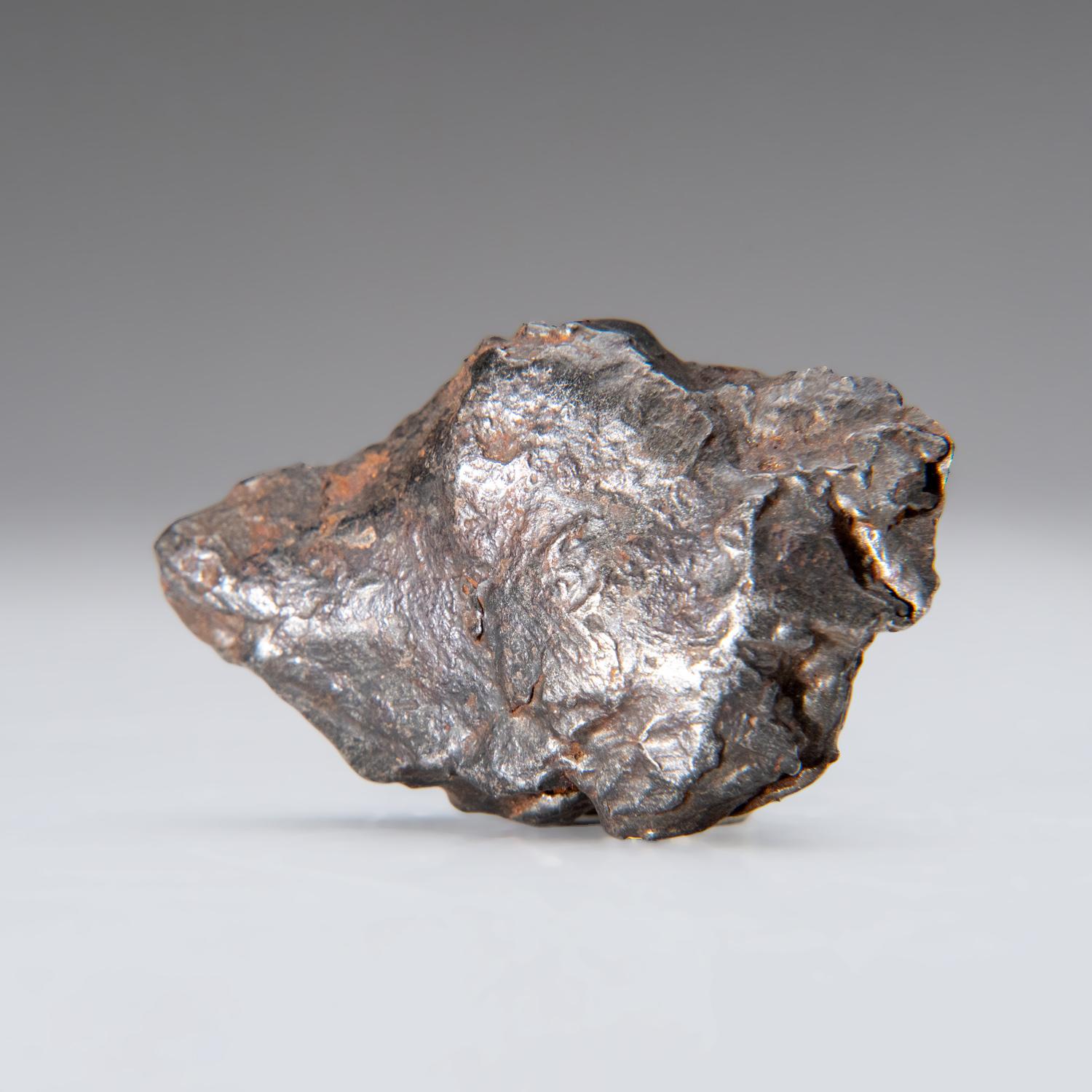 Russian Genuine Natural Sikhote-Alin Meteorite from Russia (76.5 grams) For Sale
