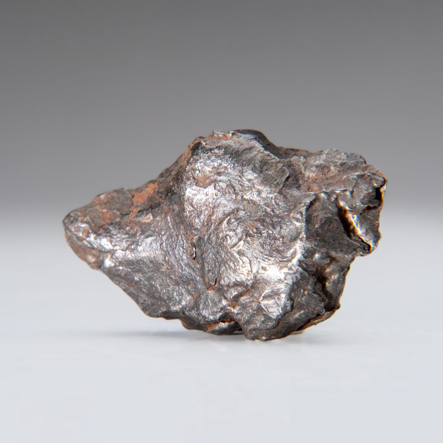 Meteorito natural genuino Sikhote-Alin de Rusia (76.5 gramos) en Nuevo estado para la venta en New York, NY