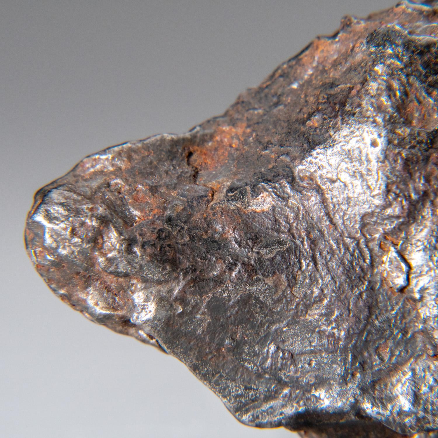 XXIe siècle et contemporain Genueuse météorite naturelle de Sikhote-Alin de Russie (76.5 grammes) en vente
