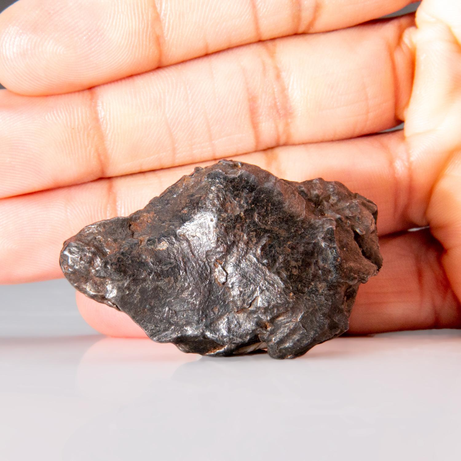 Contemporary Genuine Natural Sikhote-Alin Meteorite from Russia (76.5 grams) For Sale