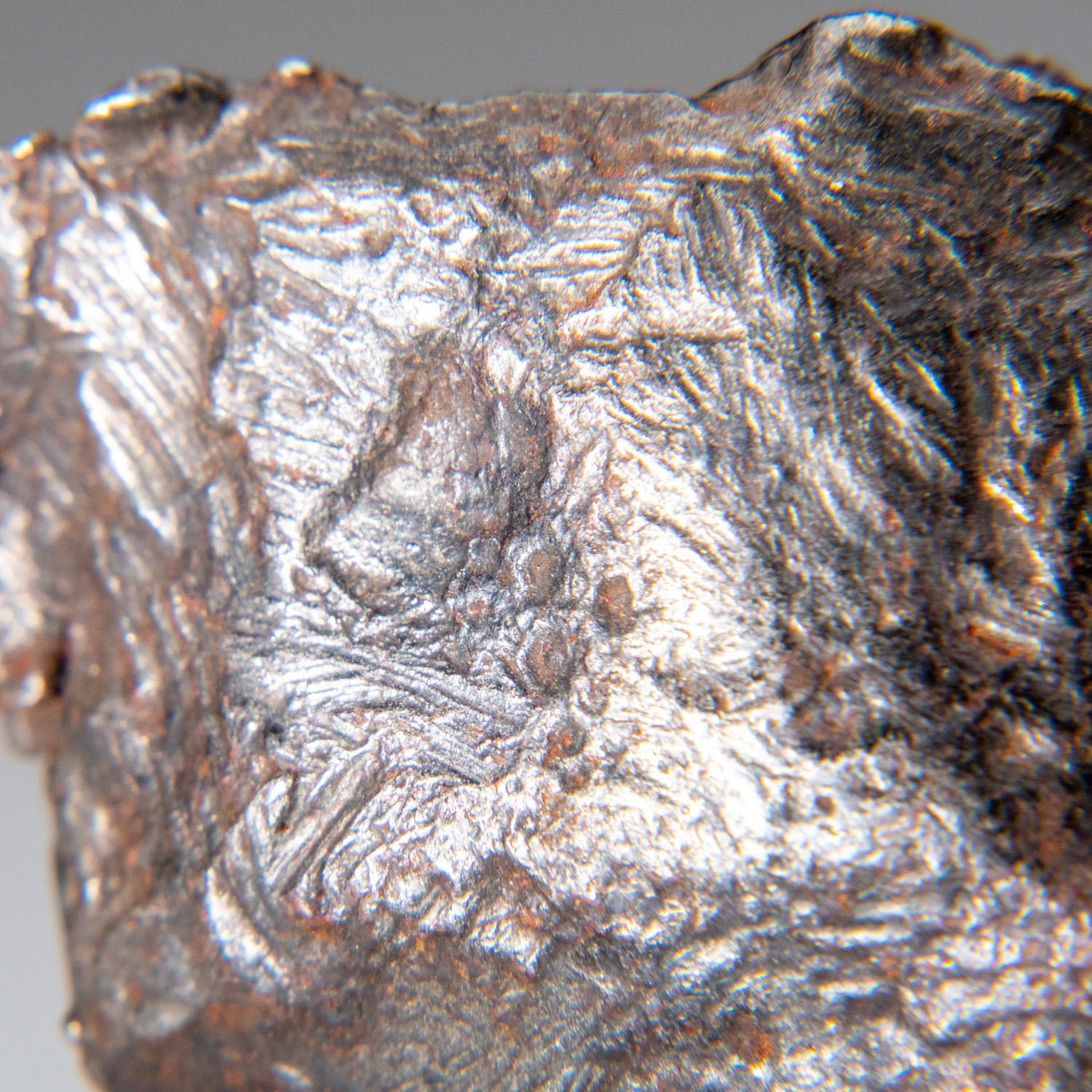 Genueuse météorite naturelle de Sikhote-Alin de Russie (76.5 grammes) en vente 1