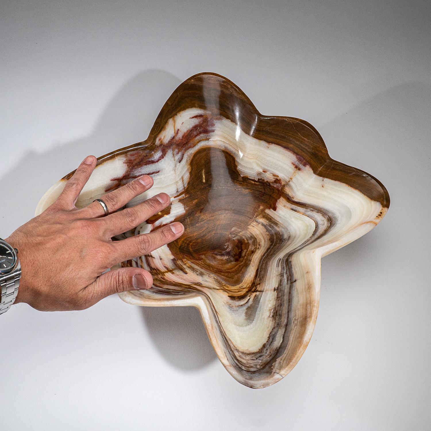 Genuine Polished Brown and White Onyx Bowl from Mexico  (7.2 lbs) For Sale 2