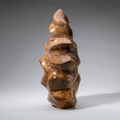 Echter polierter brauner Spitzenjaspis Freeform (6,3 lbs)