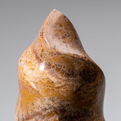 Véritable dentelle polie Brown Jasper Freeform (6.3 lbs)