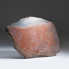 Rodaja auténtica de hueso de dinosaurio pulido (3,7 lbs)