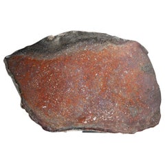 Genuine Polished Dinosaur Bone Slice (3.7 lbs)