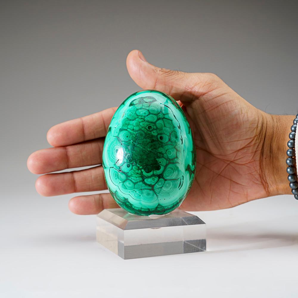 Congolese Genuine Polished Malachite Egg (1.7 lbs) For Sale