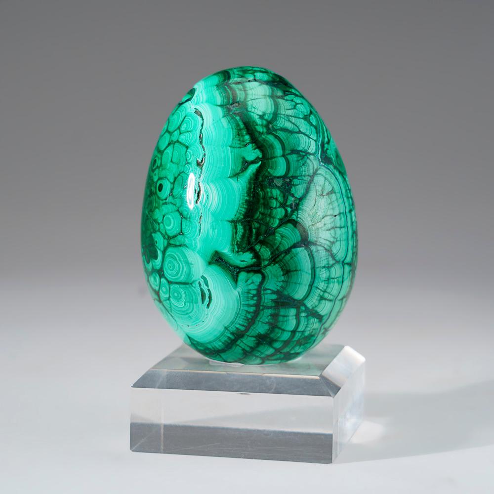 Genuine Polished Malachite Egg (1.7 lbs) In New Condition For Sale In New York, NY